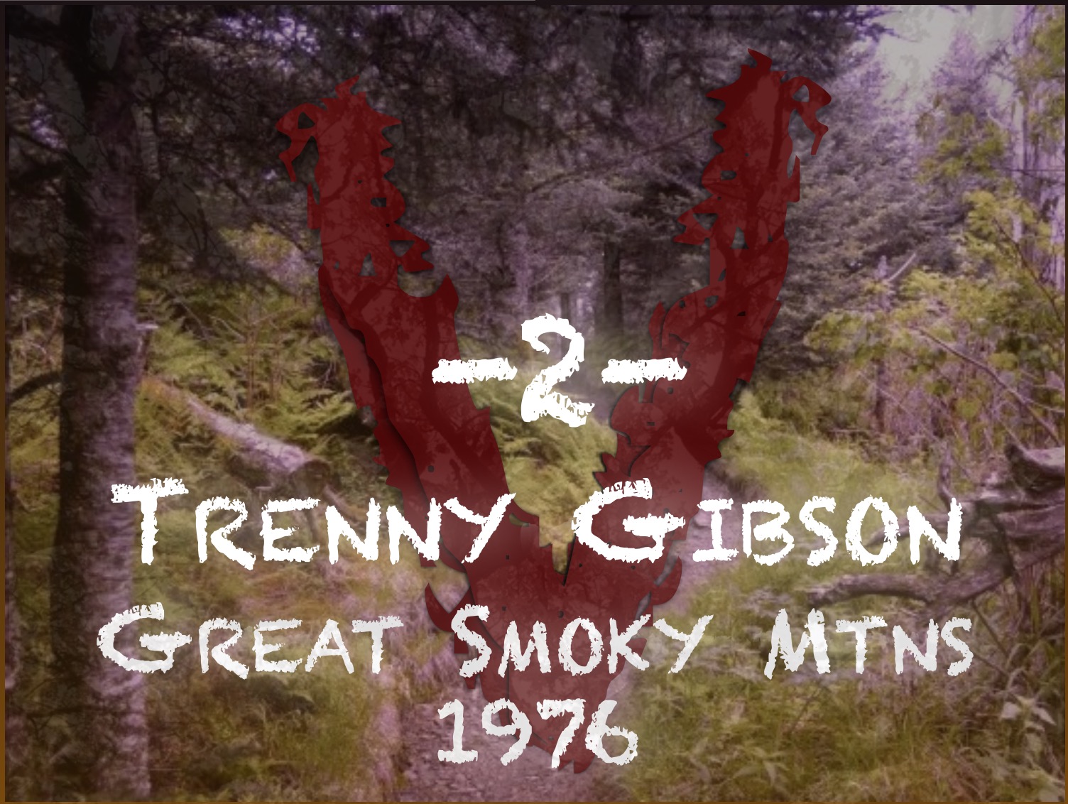 Trenny Gibson Missing 411 Buch